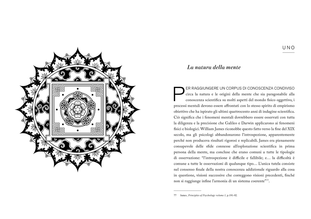 Esplorare le Profondità della Mente