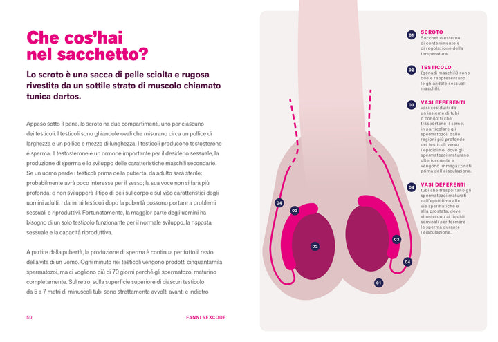 FANNI SEX CODE