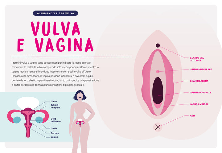 FANNI SEX CODE