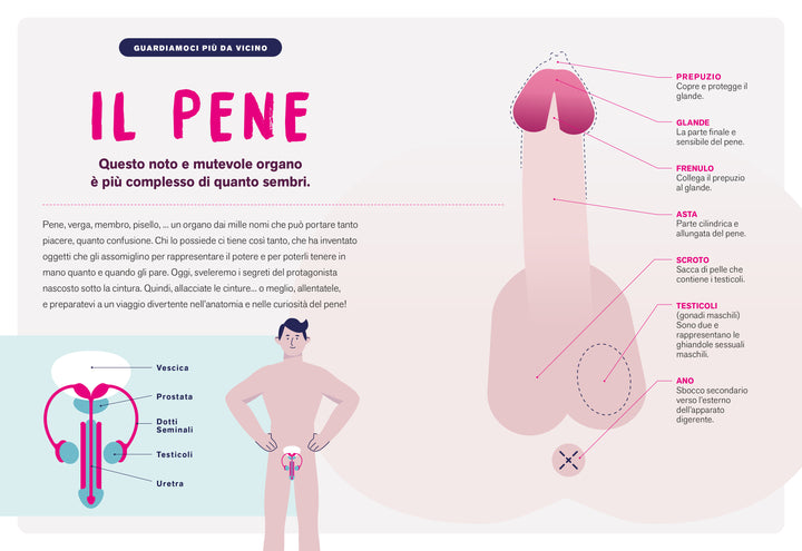 FANNI SEX CODE