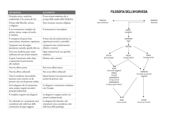 Il Manuale di Ayurveda