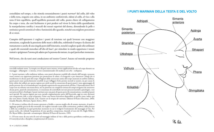 Il Volto e l'anima