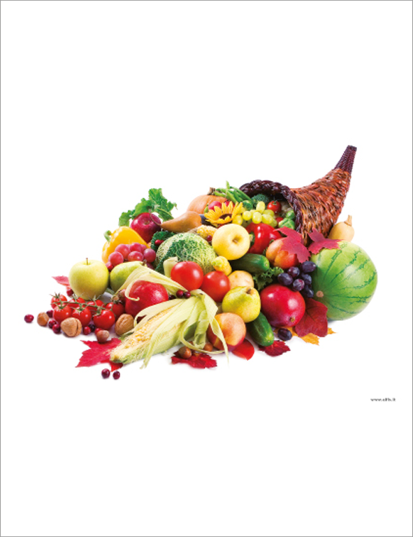 Poster Cornucopia