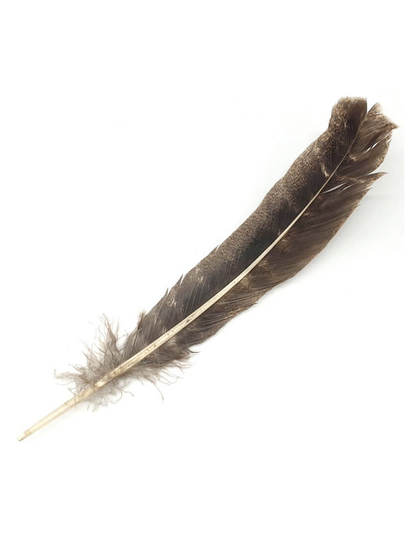 Smudge - Piuma per fumigazione