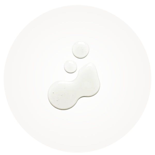 LIQUIDO SANITIZZANTE