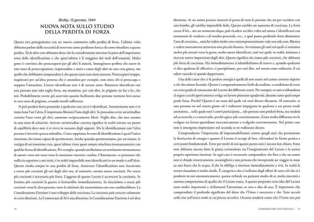 Commentari Psicologici - vol II
