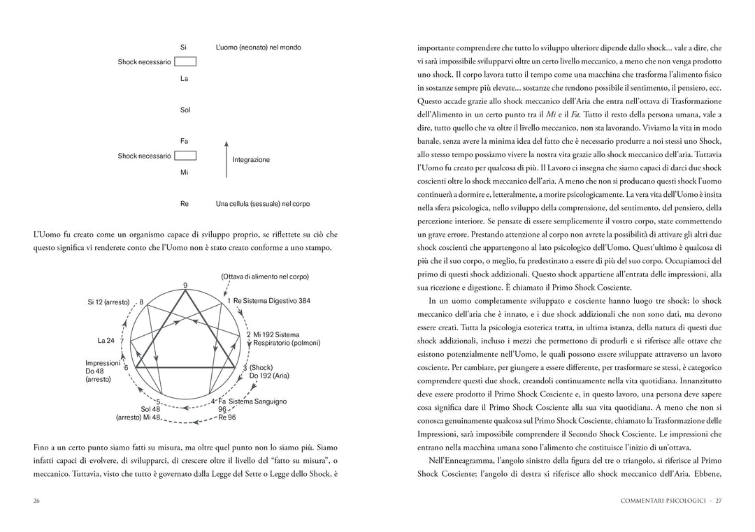 Commentari Psicologici - vol II