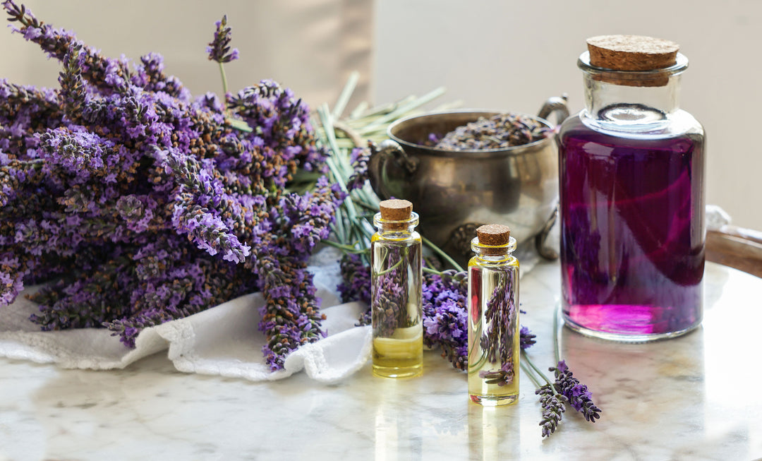 La lavanda e le sue molteplici proprietà